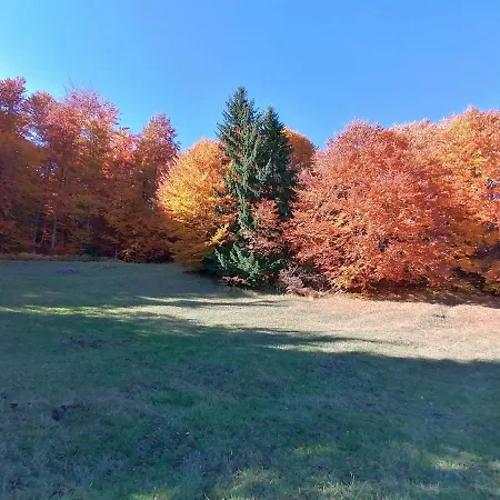 Tara Suncani Sjaj-planinska Kuca * Sljivovica (Zlatibor)