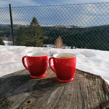 Tara Suncani Sjaj-planinska Kuca Holiday home *