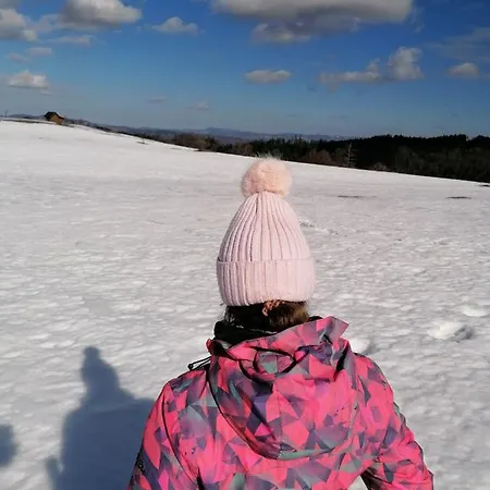 Ferienhaus Tara Suncani Sjaj-planinska Kuca Sljivovica (Zlatibor)