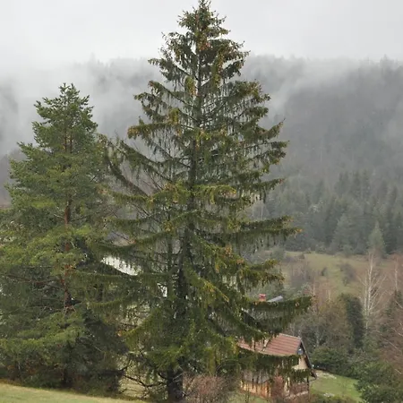 Ferienhaus Tara Suncani Sjaj-planinska Kuca Sljivovica (Zlatibor)