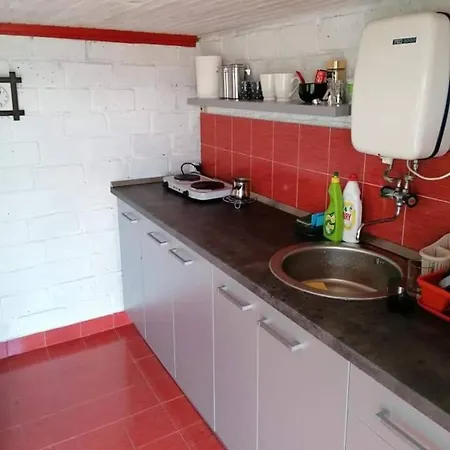 Holiday home Tara Suncani Sjaj-planinska Kuca *