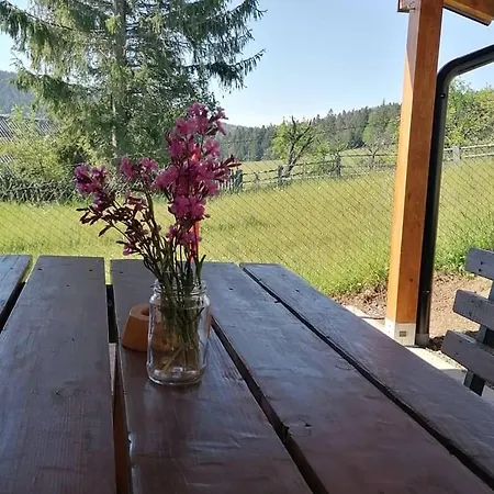 Holiday home Tara Suncani Sjaj-planinska Kuca Sljivovica (Zlatibor)