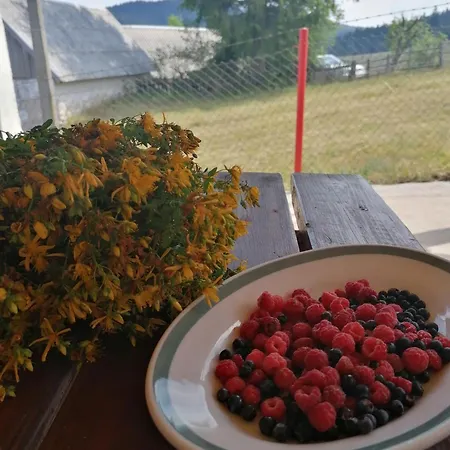Tara Suncani Sjaj-planinska Kuca Holiday home *