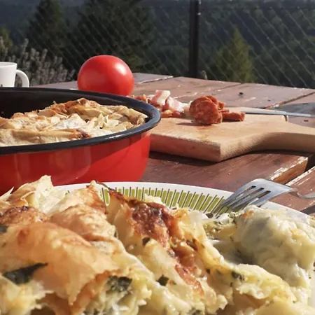 Holiday home Tara Suncani Sjaj-planinska Kuca *